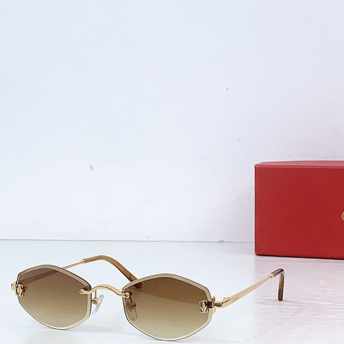 Ca*t1er Sunglasses