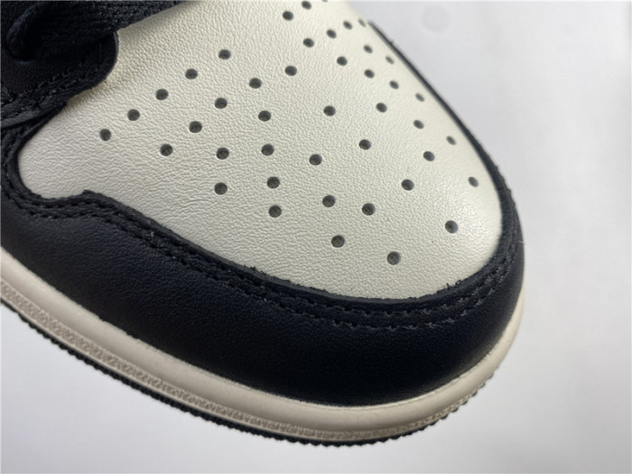 AIR Jordan 1 Retro High Dark Mocha 555088-105