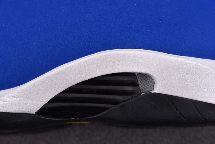 Air Jordan 14 Retro Laney 487471-407