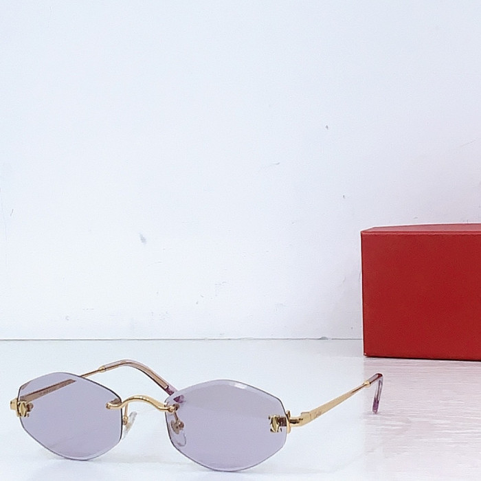 Ca*t1er Sunglasses