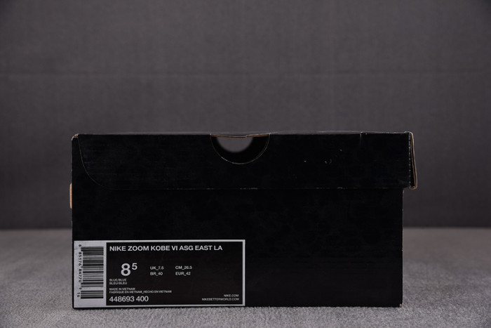 Nike Kobe 6 ASG East LA 448693-400