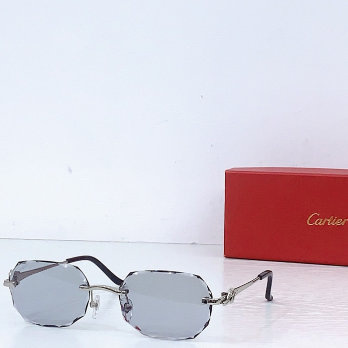 Ca*t1er Sunglasses