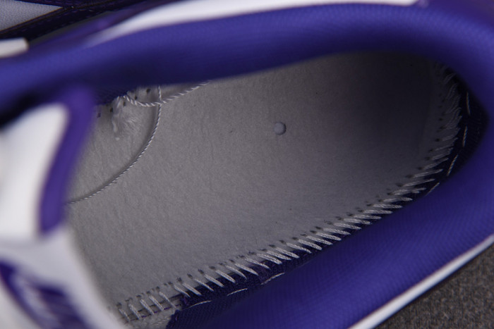 Nike Dunk Low Court Purple DD1391-104