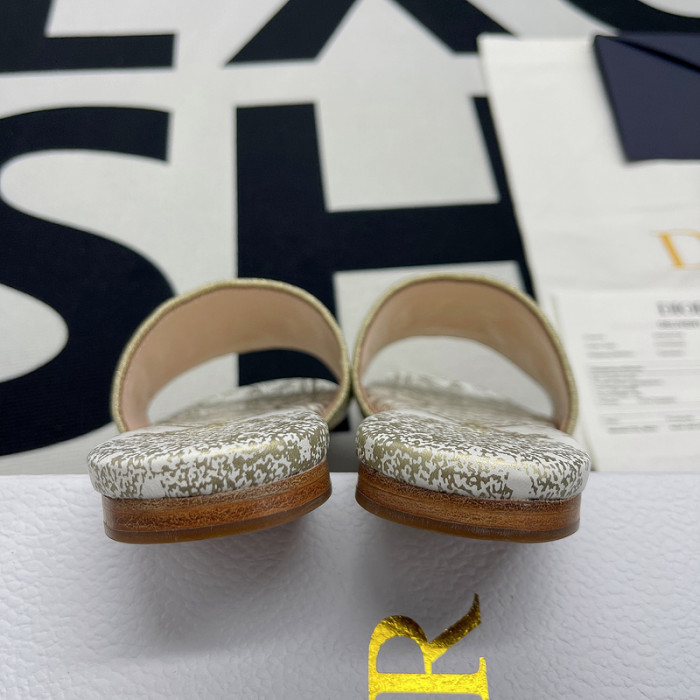 D10R slides
