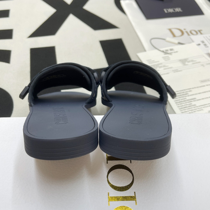 D10R slides