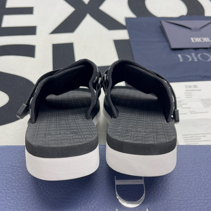 D10R slides
