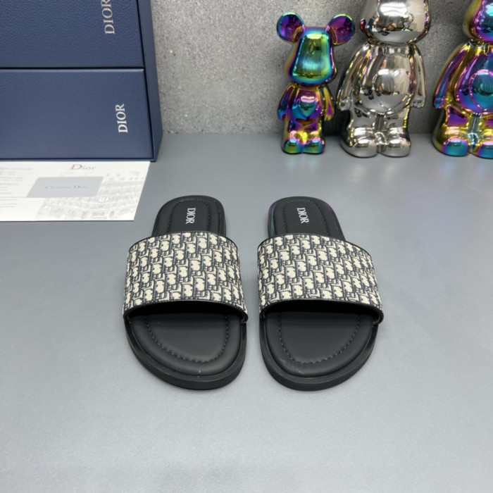D10R slides
