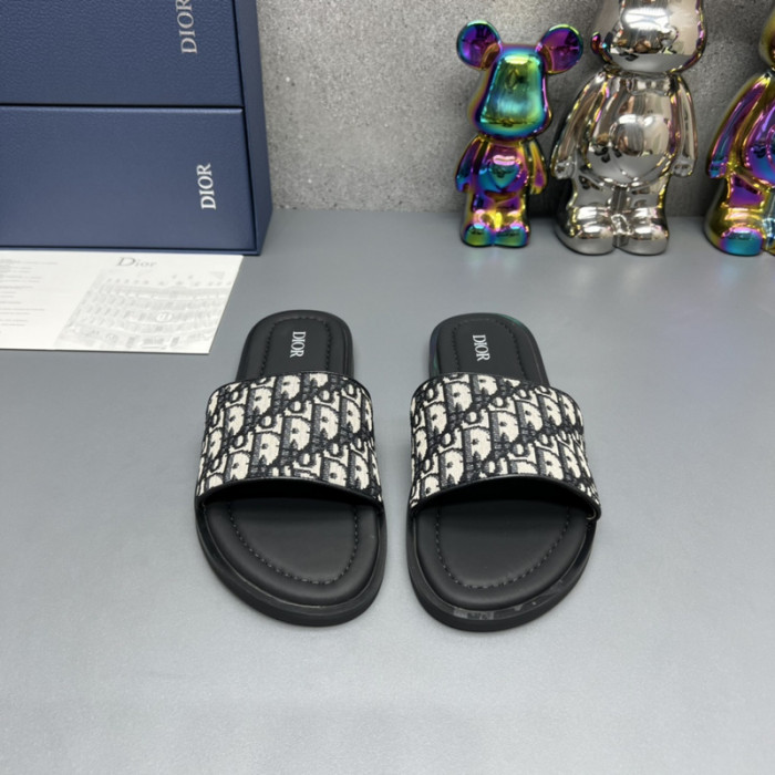D10R slides