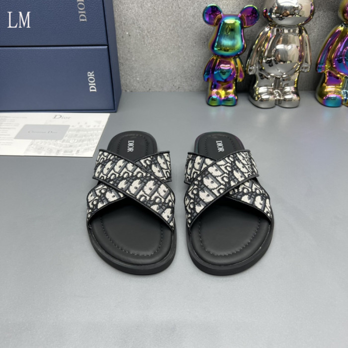 D10R slides