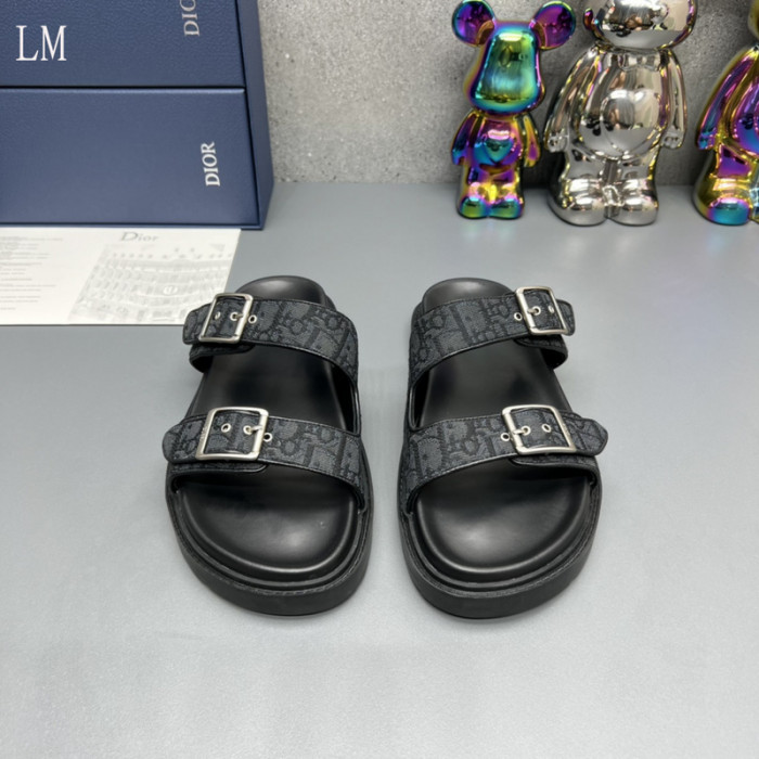 D10R slides