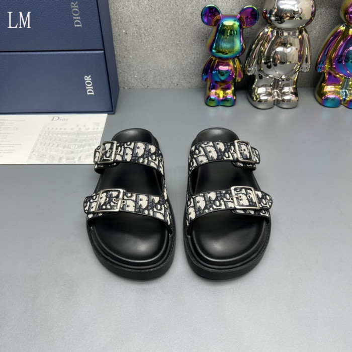 D10R slides