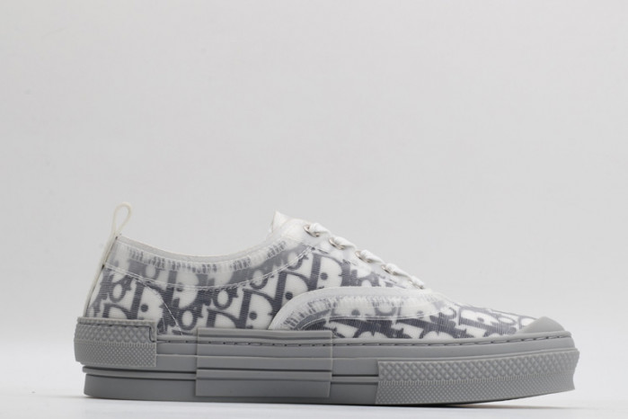 D10R B23 Oblique Low Top Sneaker