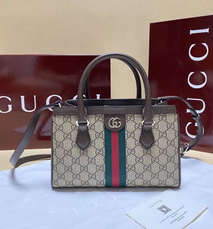 Gu66 BAG 25.5*18*0.5cm