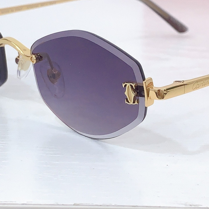 Ca*t1er Sunglasses
