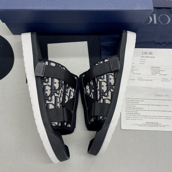 D10R slides