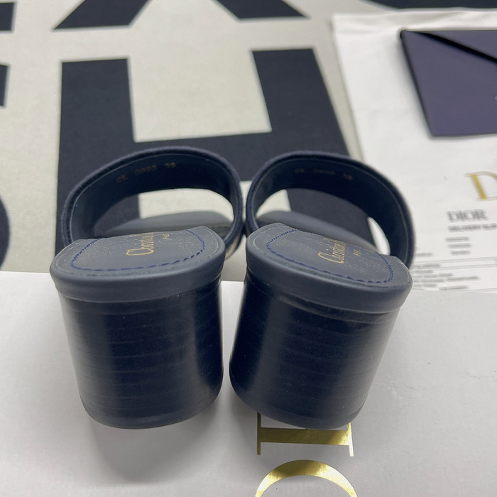 D10R slides
