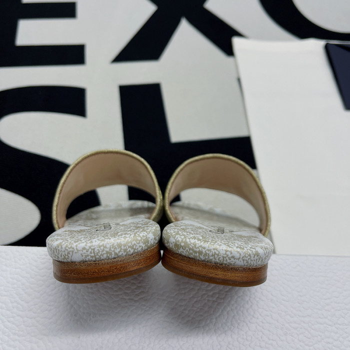 D10R slides
