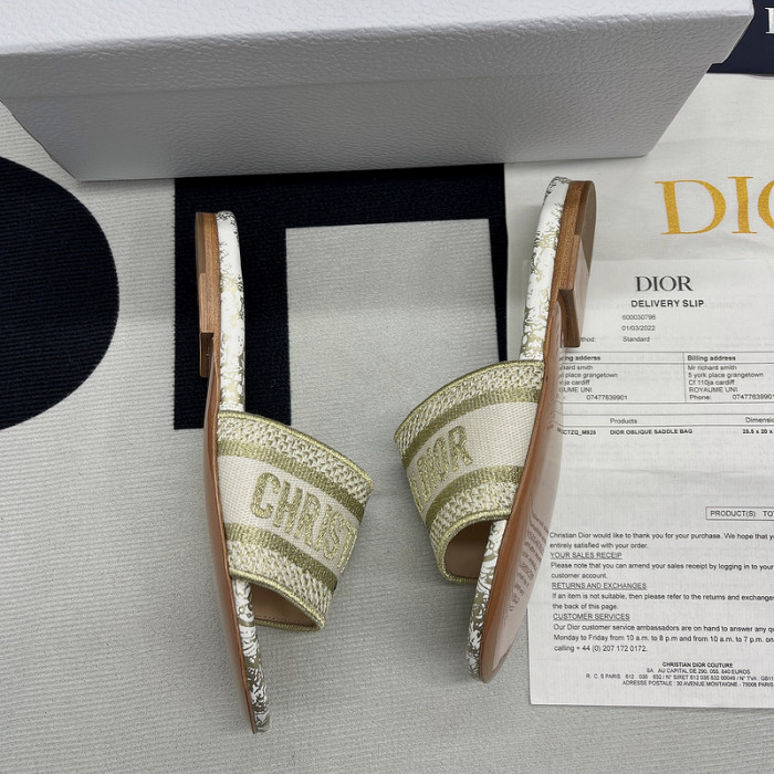 D10R slides