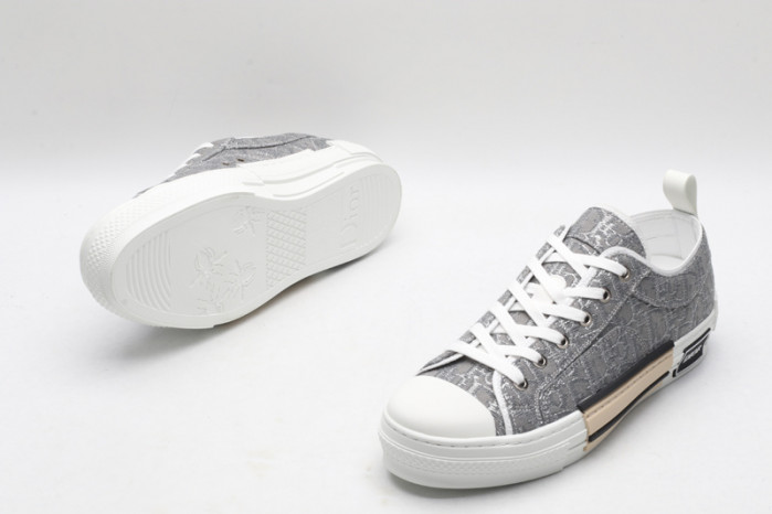 D10R B23 Oblique Low Top Sneaker