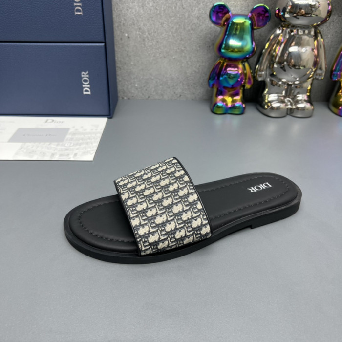 D10R slides