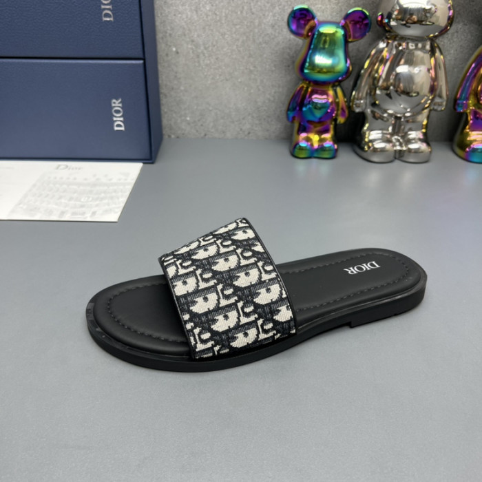 D10R slides