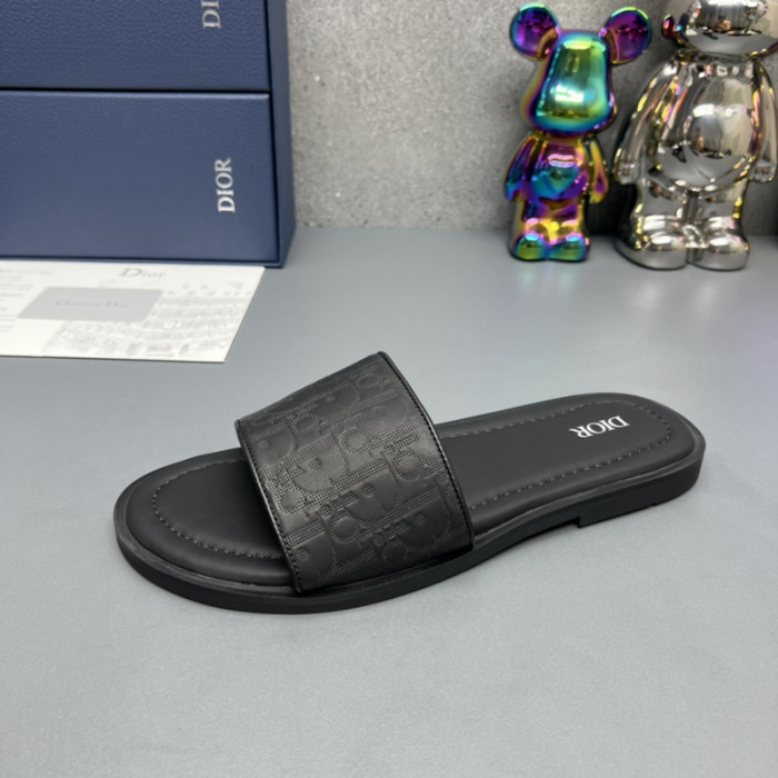 D10R slides