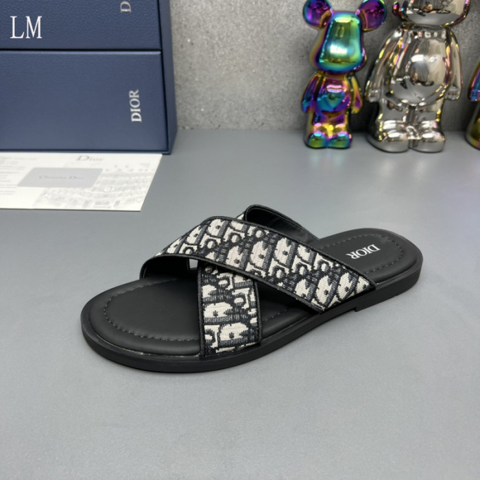 D10R slides