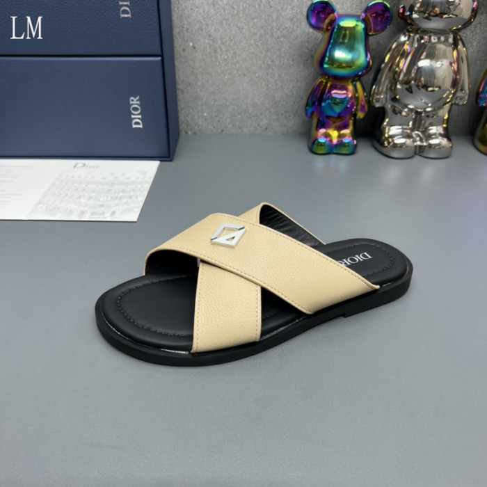 D10R slides