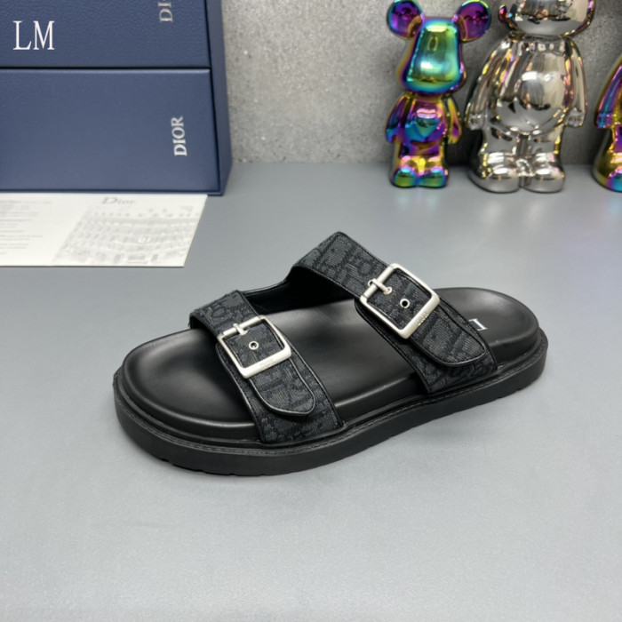 D10R slides