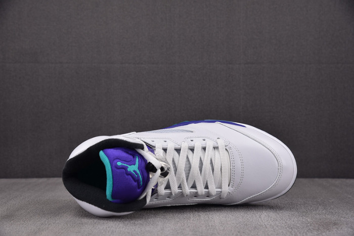 Air Jordan 5 Grape 2025 HQ7978-100