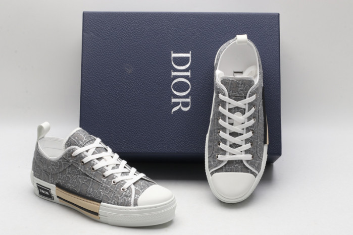 D10R B23 Oblique Low Top Sneaker