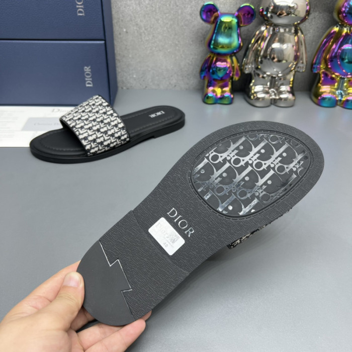 D10R slides