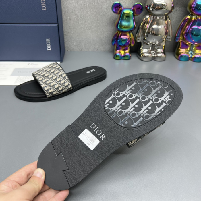 D10R slides
