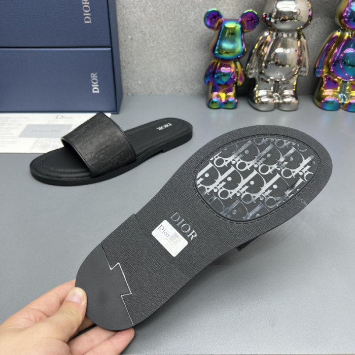 D10R slides