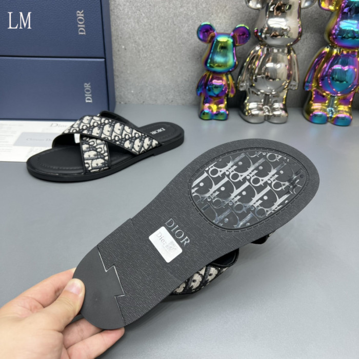 D10R slides