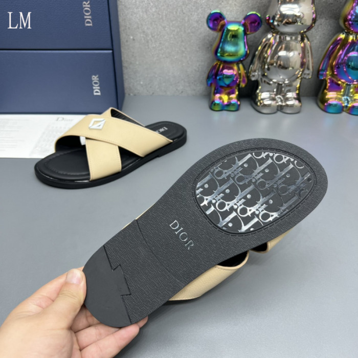 D10R slides