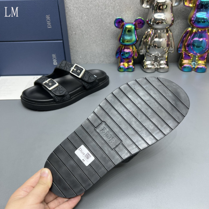 D10R slides