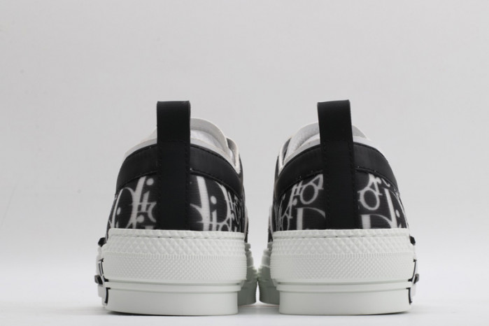 D10R B23 Oblique Low Top Sneaker