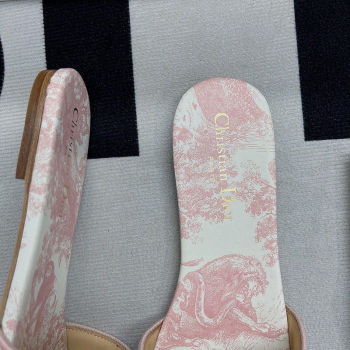 D10R slides