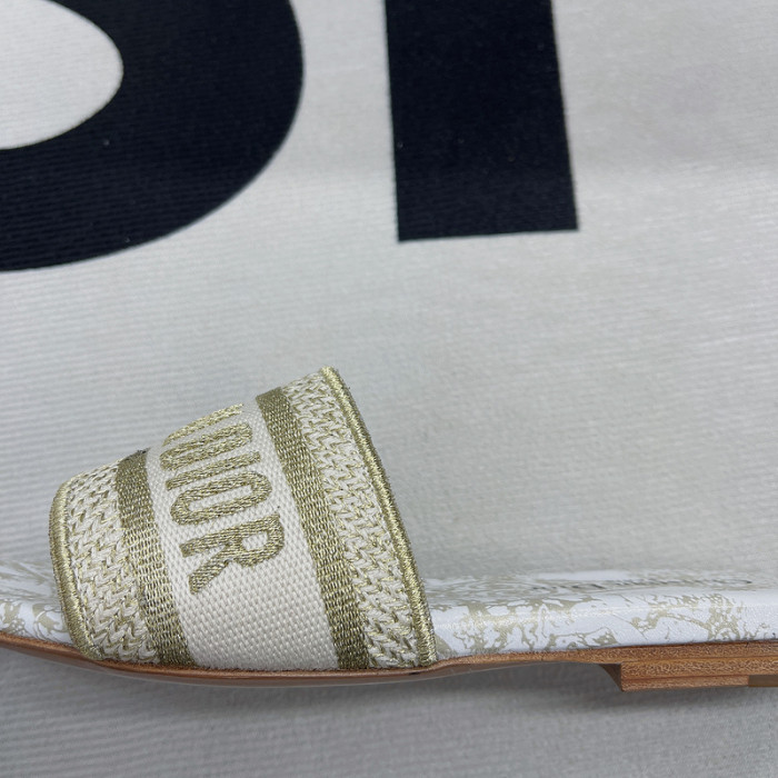 D10R slides