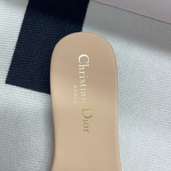D10R slides