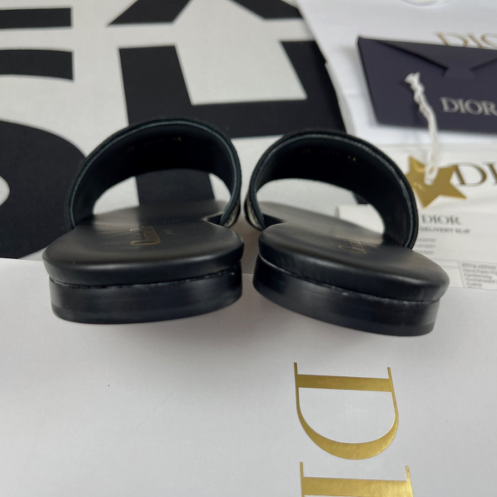 D10R slides