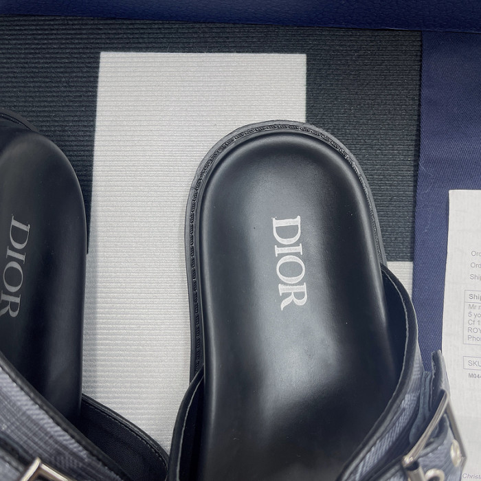 D10R slides