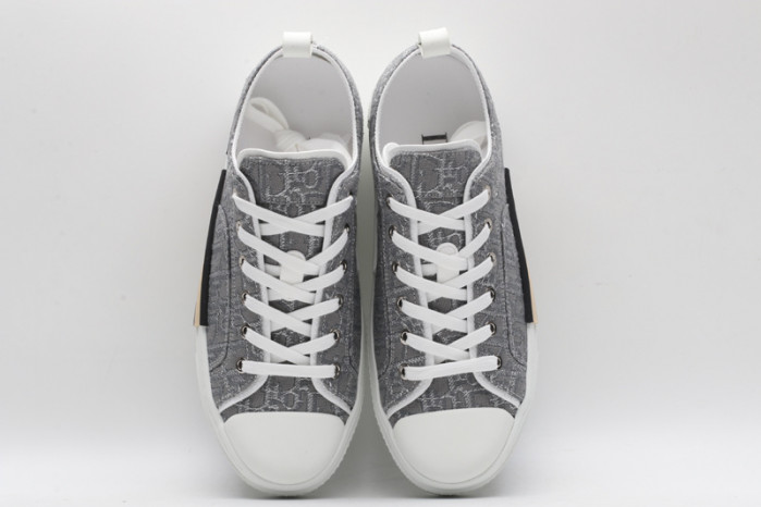 D10R B23 Oblique Low Top Sneaker