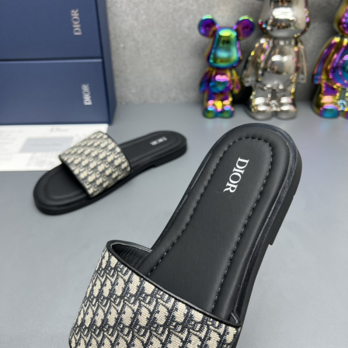 D10R slides