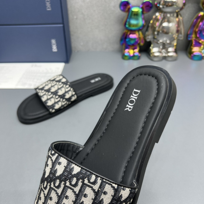 D10R slides