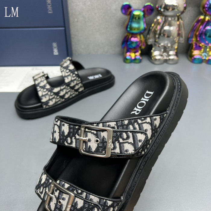 D10R slides