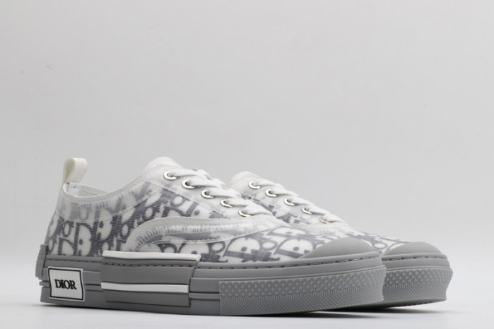 D10R B23 Oblique Low Top Sneaker