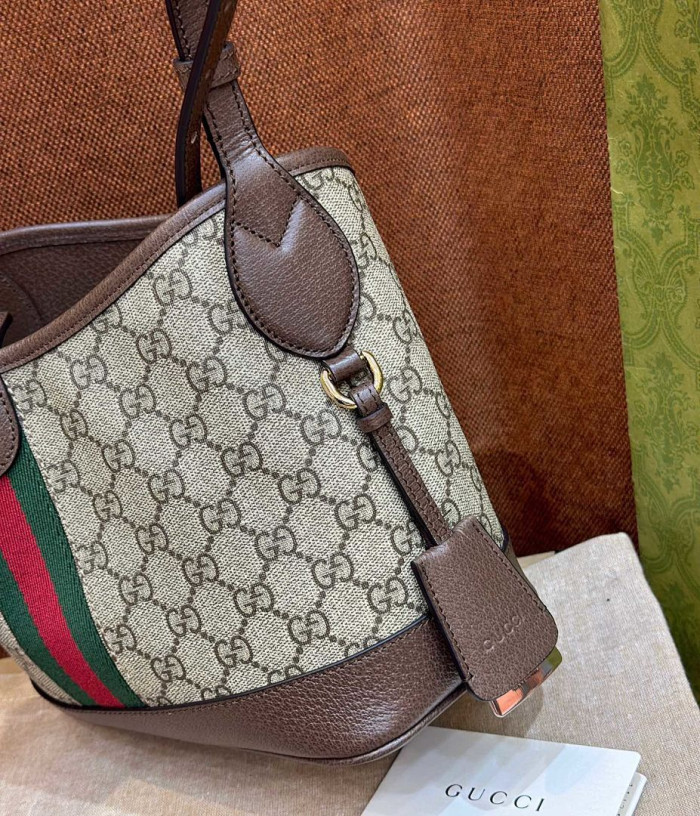 Gu66 BAG 23*21*12cm