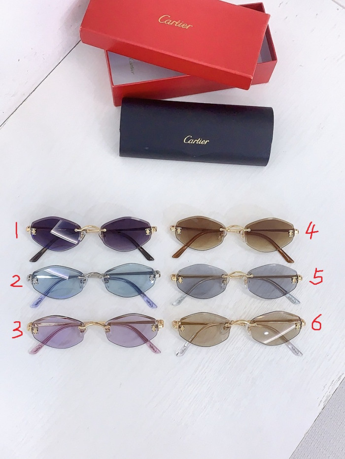 Ca*t1er Sunglasses